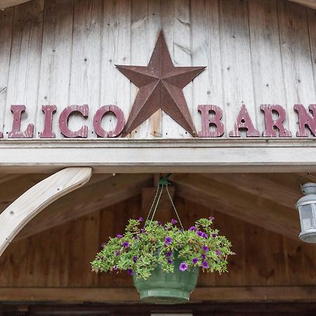 Albergue Calico Barn Widdrington Exterior foto