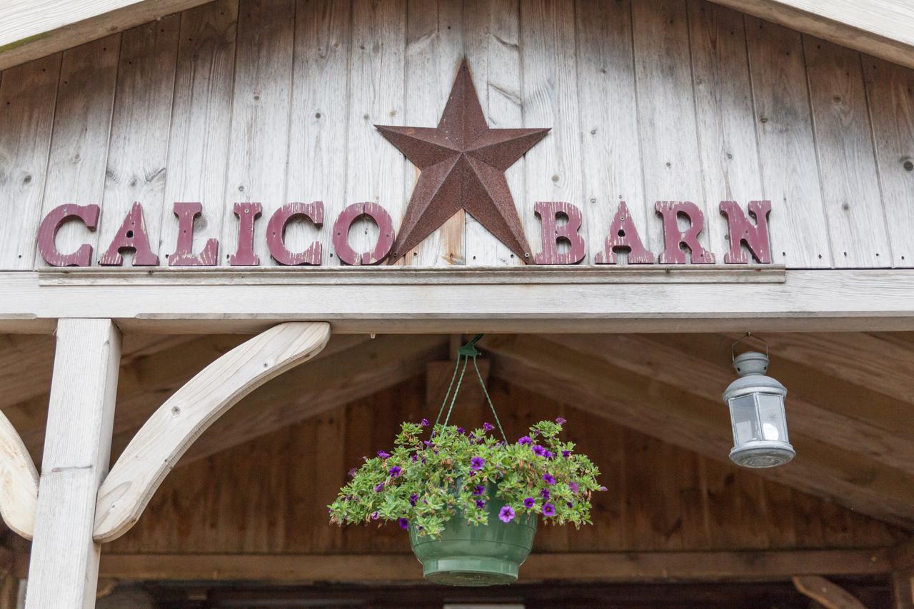 Albergue Calico Barn Widdrington Exterior foto